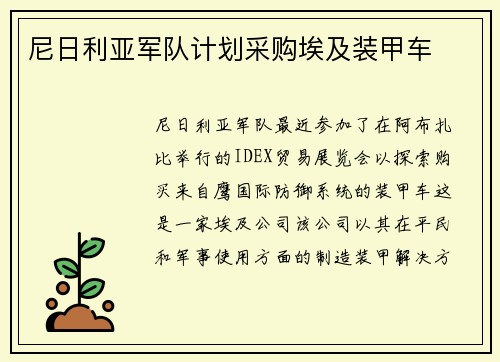 尼日利亚军队计划采购埃及装甲车